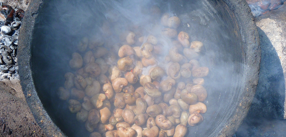 Cashew nuts roasting